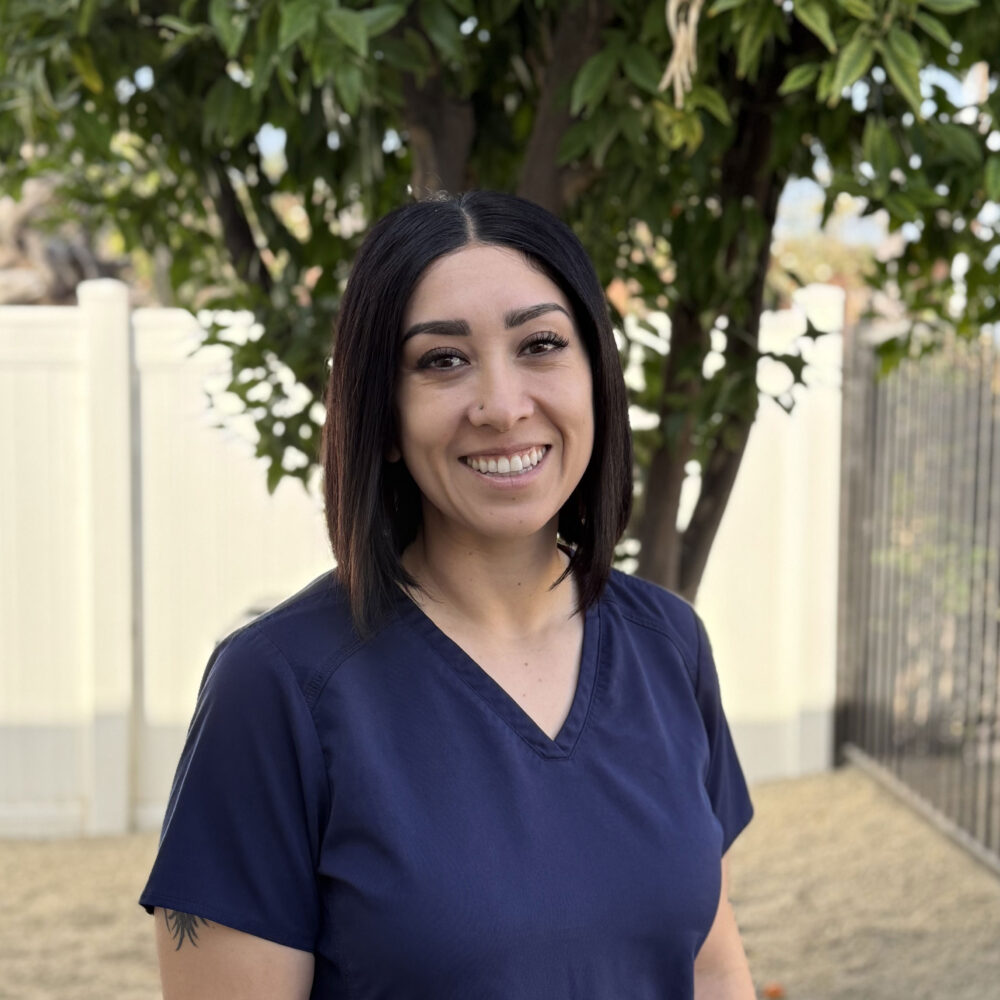 Mark Harris Dental